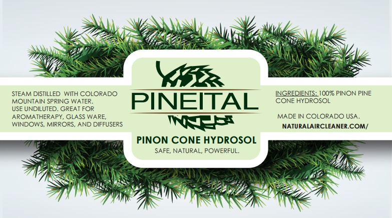 Pineital 100 % pure plant cleaner - disinfects, cleans, repells dust, diffuser refill 